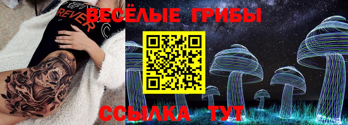 Бошки Шишки Мурино