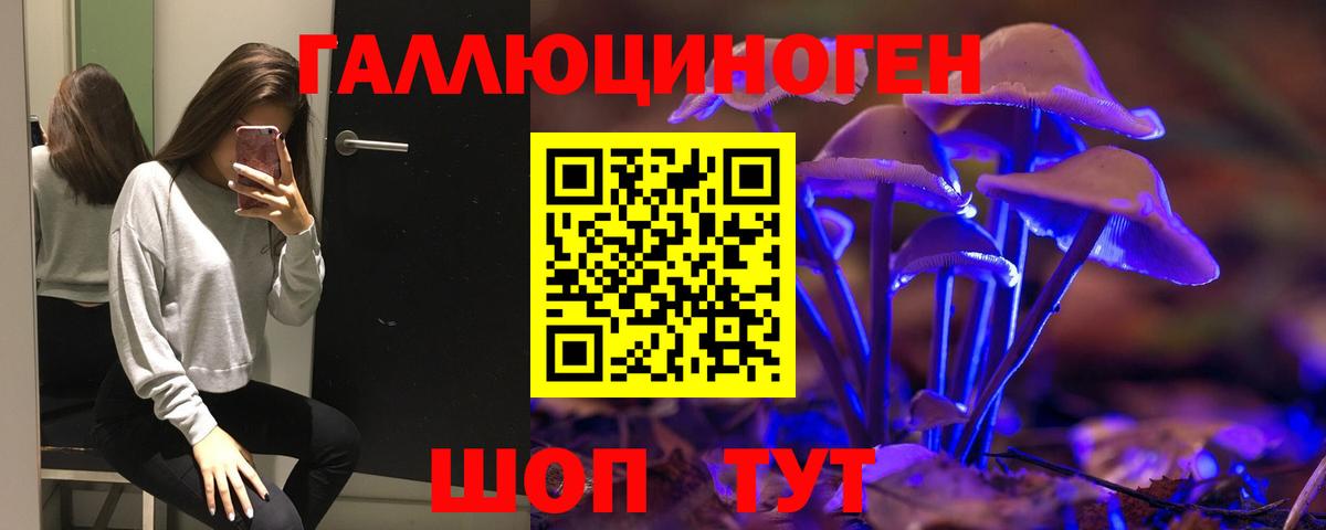 Мурино  Галлюциногенные грибы GOLDEN TEACHER  Псилоцибиновые грибы мицелий  купить  цена  Вход с VPN 